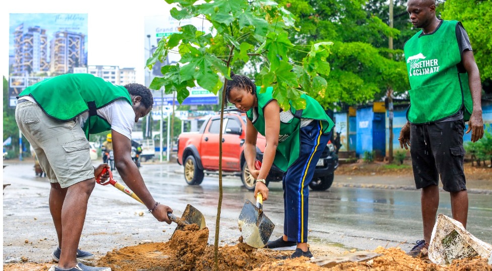 Mombasa launches large-scale tree planting drive to tackle rising urban heat