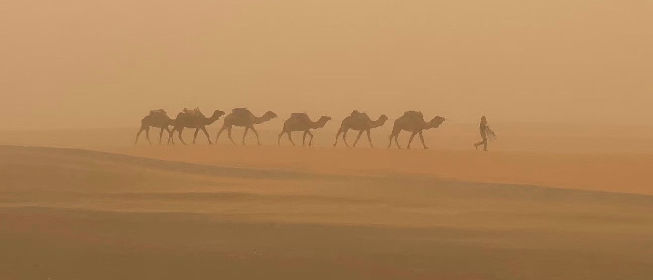 How changing Saharan dust storms affect health and climate in Europe