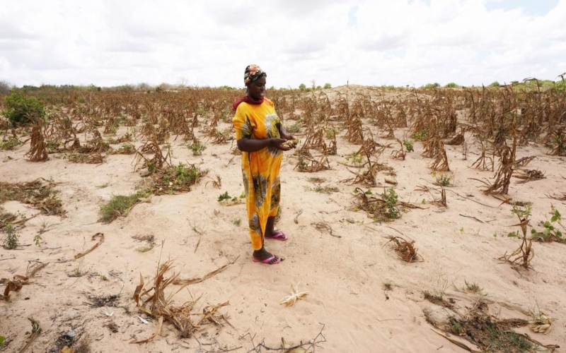 AU official calls for accelerated actions to end hunger in Africa