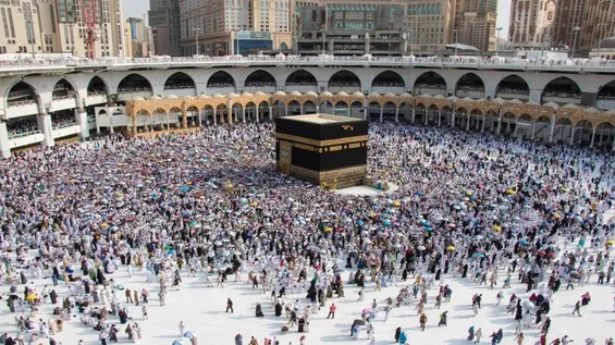 Saudi Arabia halts Umrah activities ahead of Hajj, sets deadline for pilgrims to leave