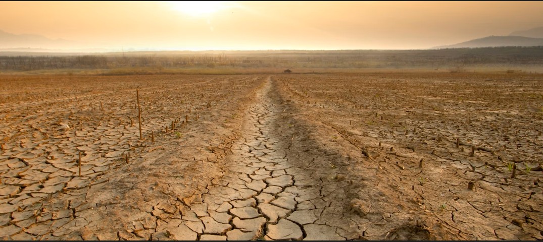 Drought could be making antibiotic resistance worse, scientists say