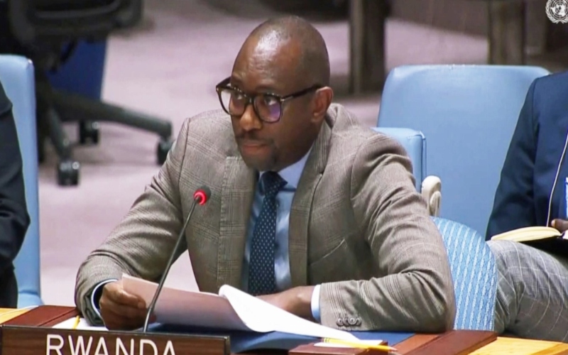No peace without FDLR neutralisation, Rwandan envoy tells UN Security Council