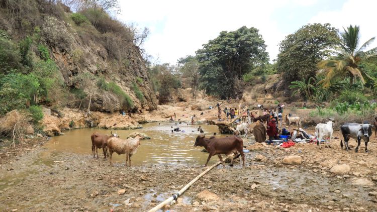 Drought displaces 62,000 in Somalia as IOM warns of rising crisis