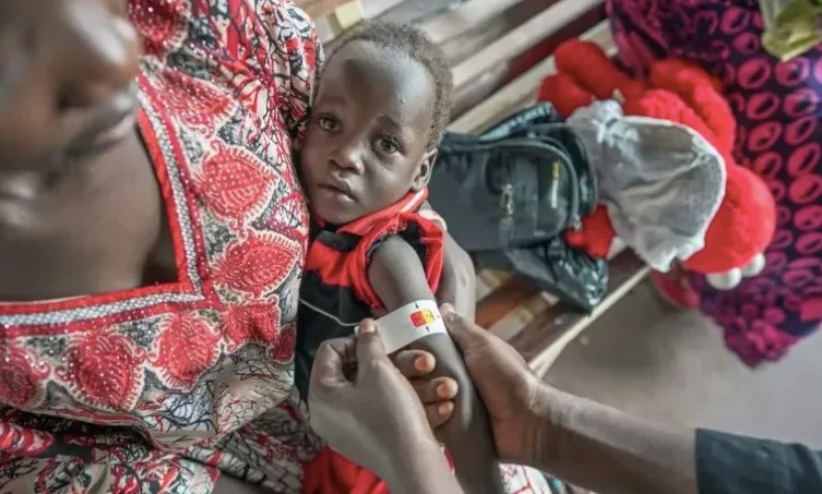 South Sudan faces deepening hunger crisis as 7.8 million projected to suffer acute food insecurity