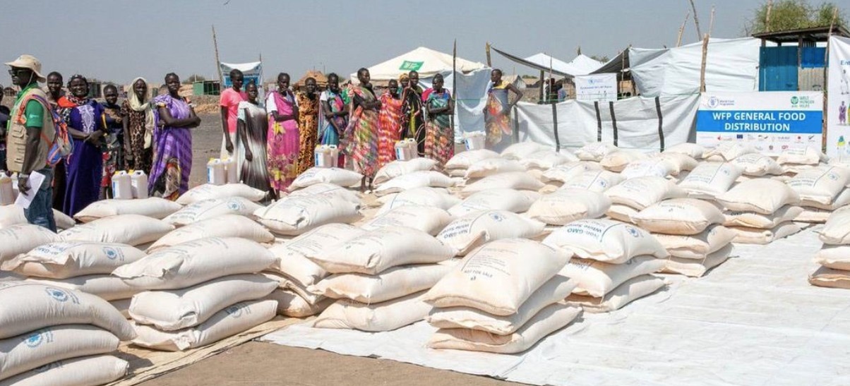 Sudan, South Sudan, DRC and Nigeria drive global hunger crisis affecting 266 million – UN report