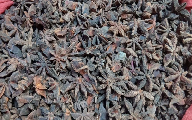 Star anise (xiddig anise): How to buy, store and use the potent spice safely