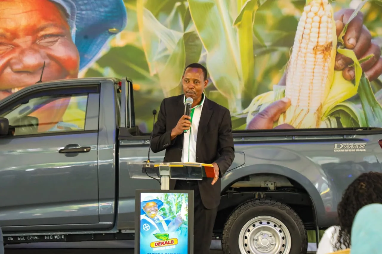 Experts warn farmers losing up to 50 per cent of yields due to widespread use of uncertified seeds