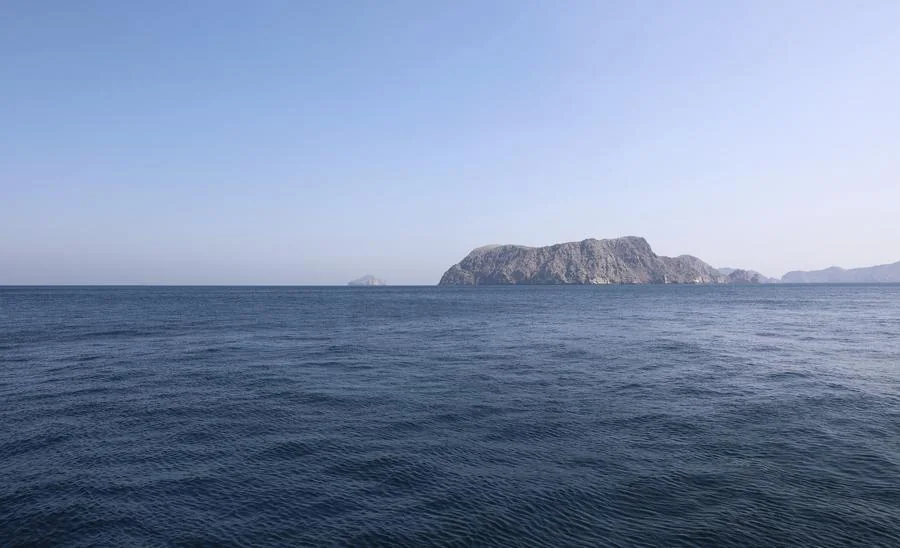 Iran begins letting some Chinese ships cross Strait of Hormuz - media
