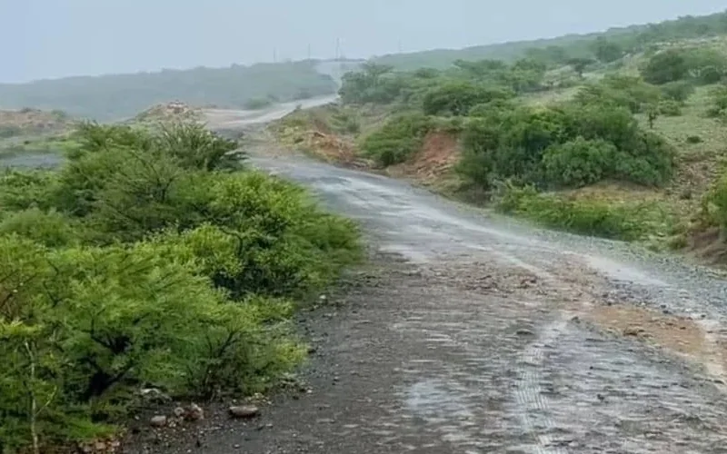 Ethiopia’s Somali Regional State rejects news of drought impact, cites improved conditions during Gu rains