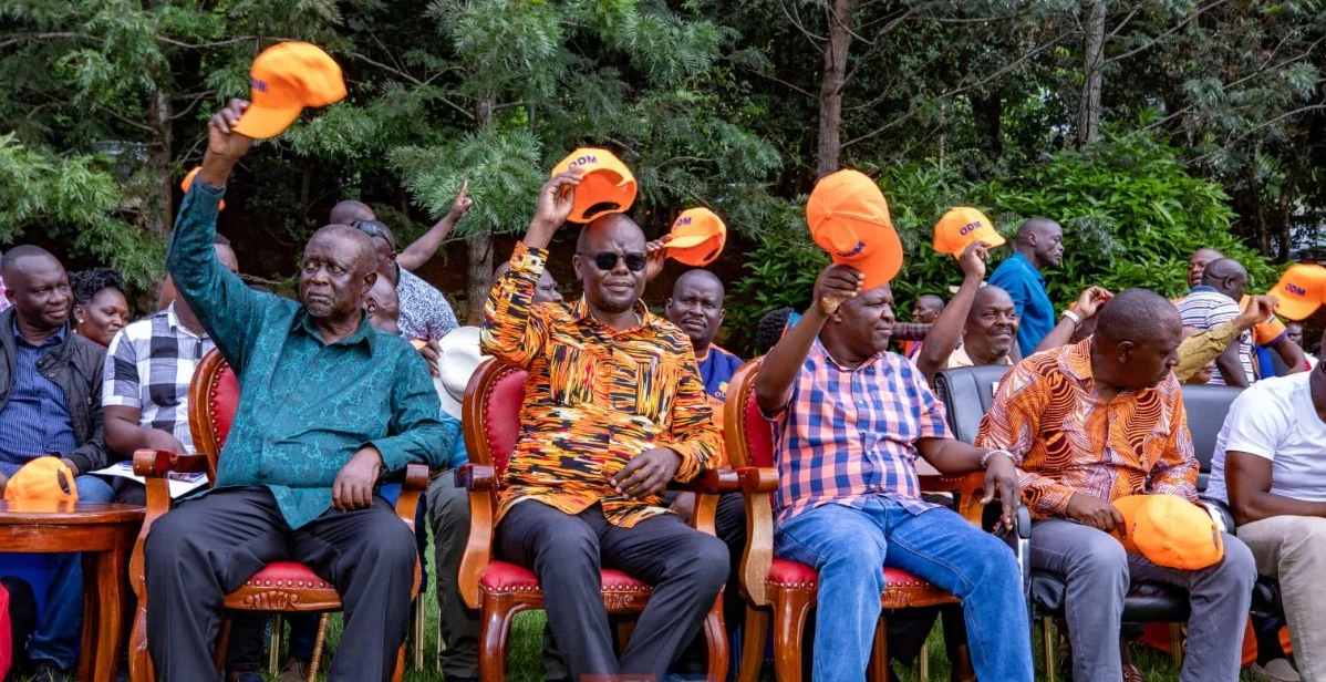 ODM intensifies Nyanza push as party moves to consolidate traditional stronghold