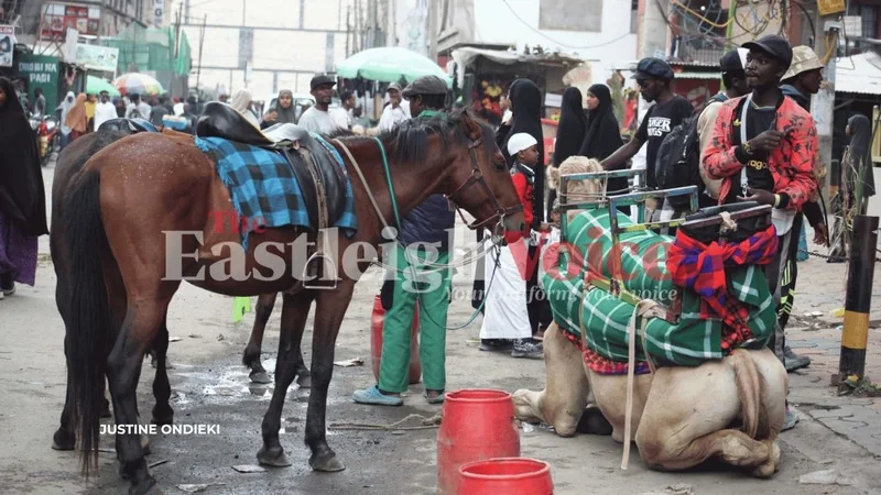 How Eid ul-Adha celebrations transforms Eastleigh into a high-stakes street economy