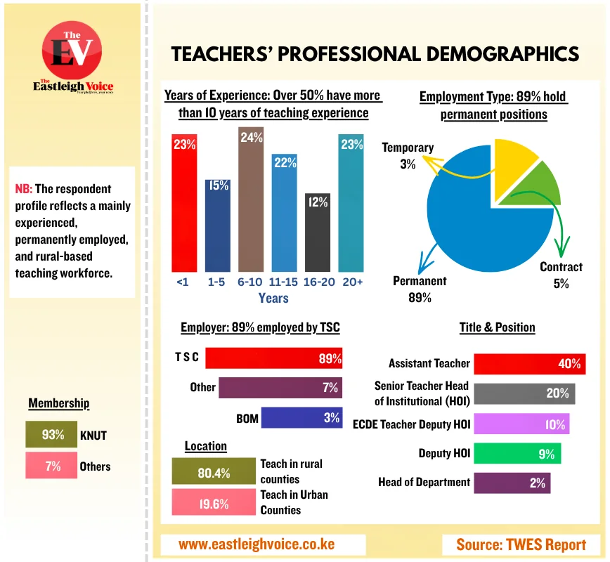 Teachers’ professional demographics