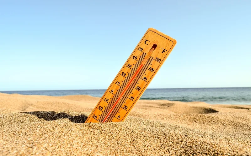 Next five years likely to be among the hottest ever recorded, scientists warn