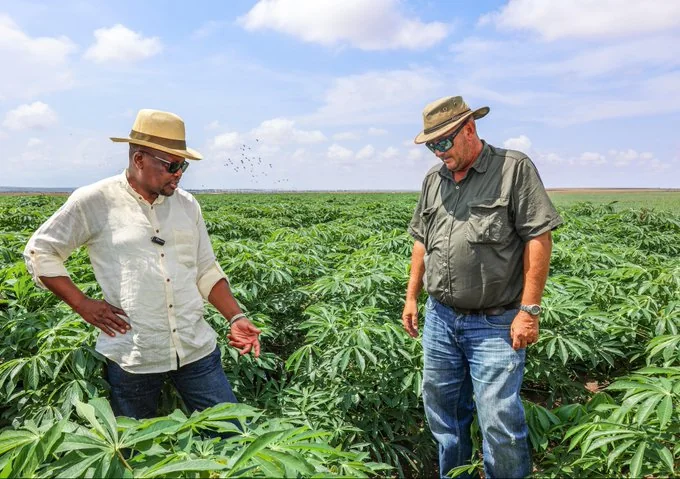 Kagwe eyes new agribusiness opportunities in next week's Kenya-South Africa talks