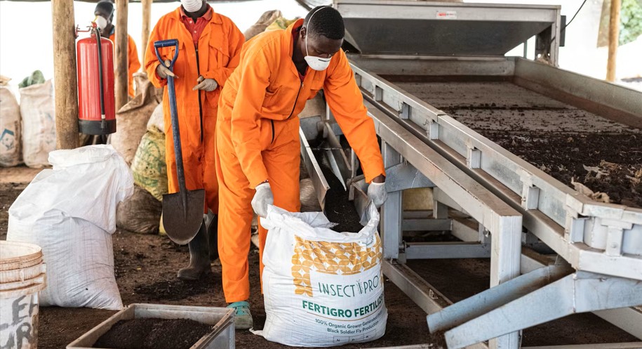 80 per cent of Africa’s fertiliser is imported: How food systems can adapt to the Iran shock