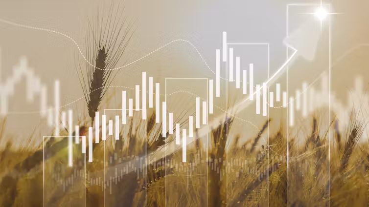 How the world can avoid millions going hungry when supply chains collapse