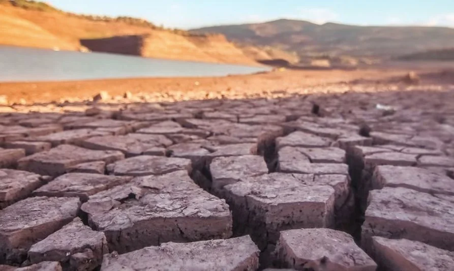 UN agencies launch Sh22.6 billion appeal to shield 22 countries from El Niño threat