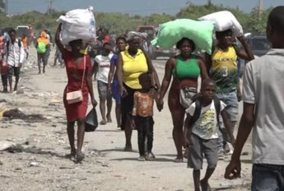 Haiti: UN rights office welcomes new judicial units to tackle gang violence and impunity