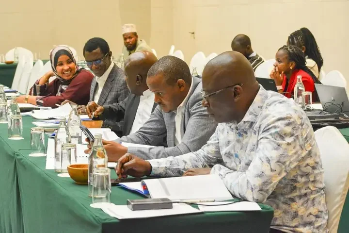 MPs review sweeping energy, petroleum reforms amid access and security concerns