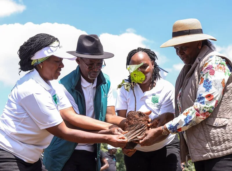 Tree growing farmers pin hopes on carbon markets amid benefit-sharing reforms