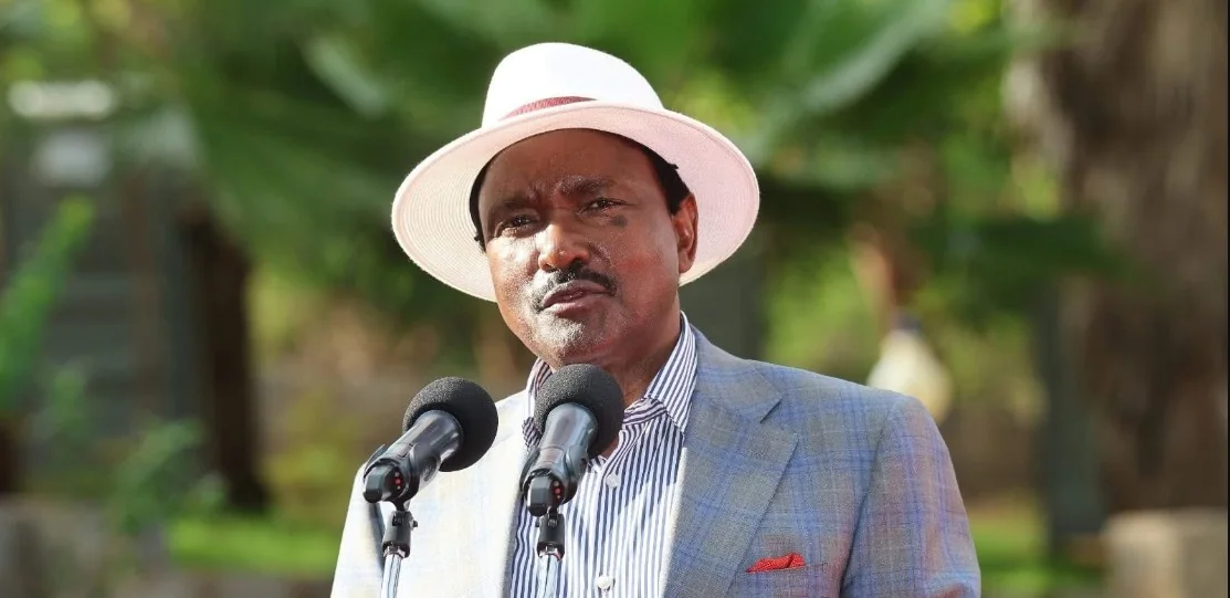 Kalonzo flags school safety and mental health crisis, criticises budget gaps