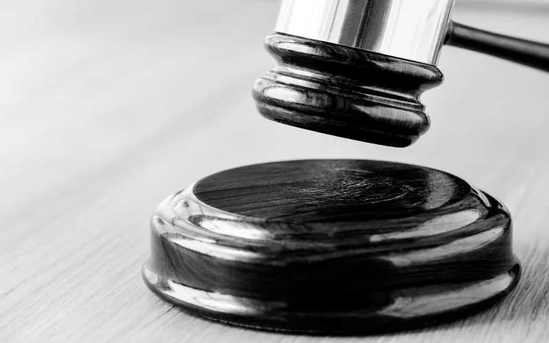 Court halts any activity in Imenti Forest as conservation case heads to hearing