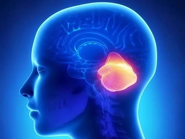 Scientists uncover new genetic cause of rare movement disorders