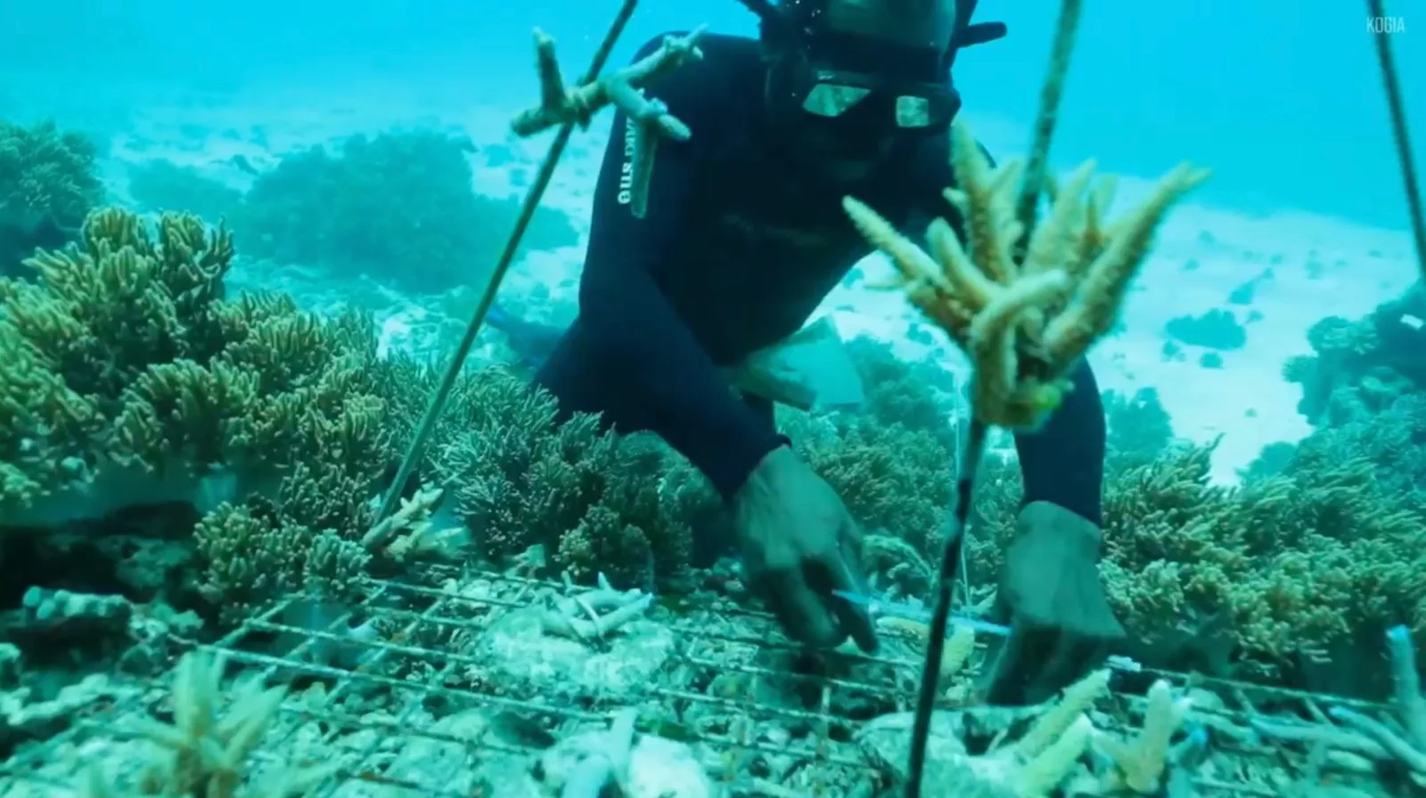 Global ocean summit set for Mombasa, boosting tourism and business opportunities