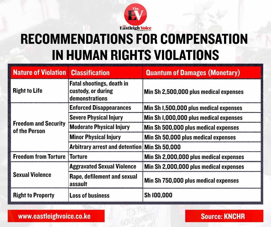 New KNCHR plan sets Sh2.5 million payout for deaths, torture and rights abuses