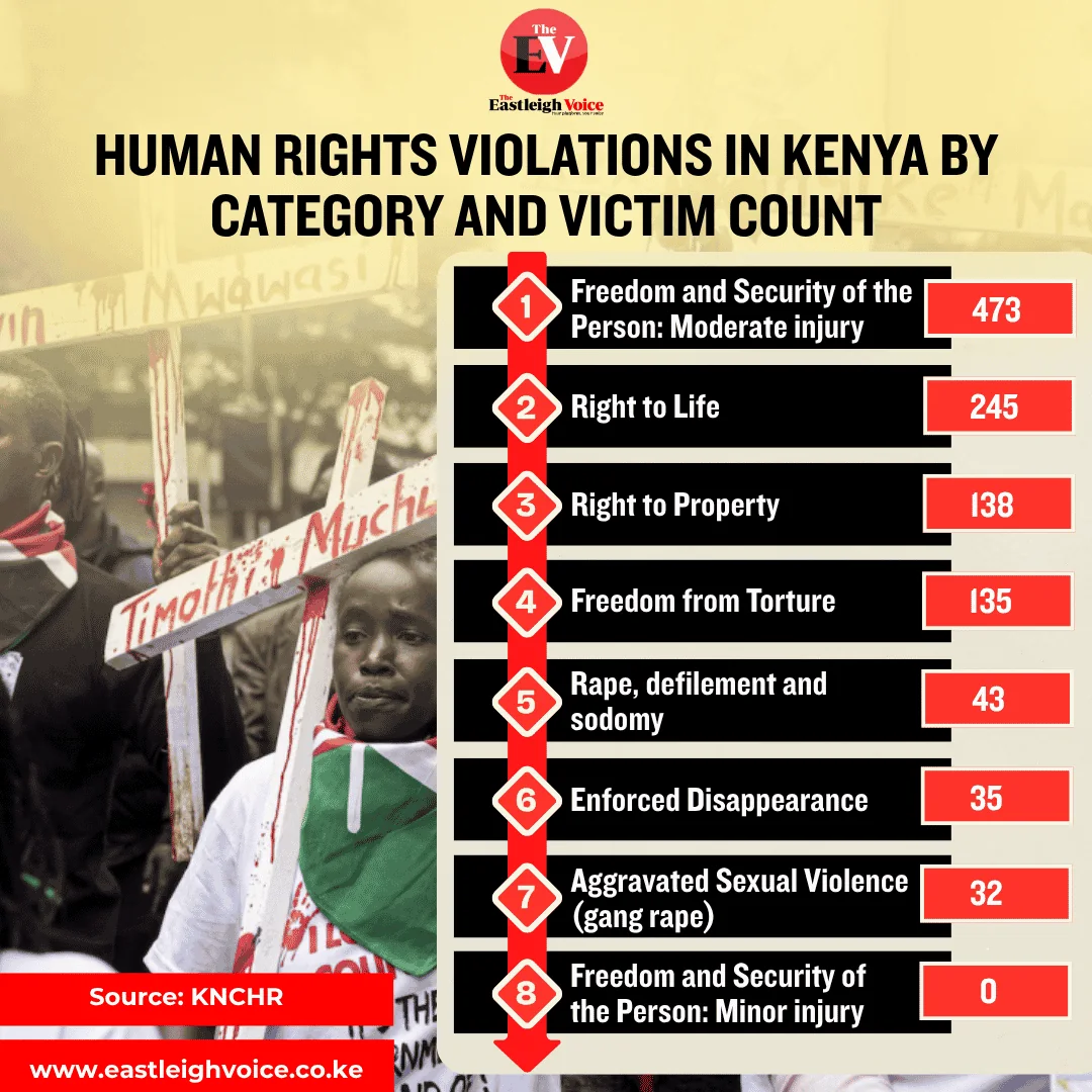 Human rights violations in Kenya by category and victim count