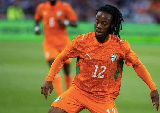 Ivory Coast striker Wahi ruled out of Germany World Cup clash after being denied Canada entry
