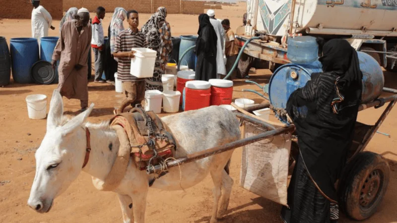 Fears of atrocities as RSF surrounds key city in Sudan