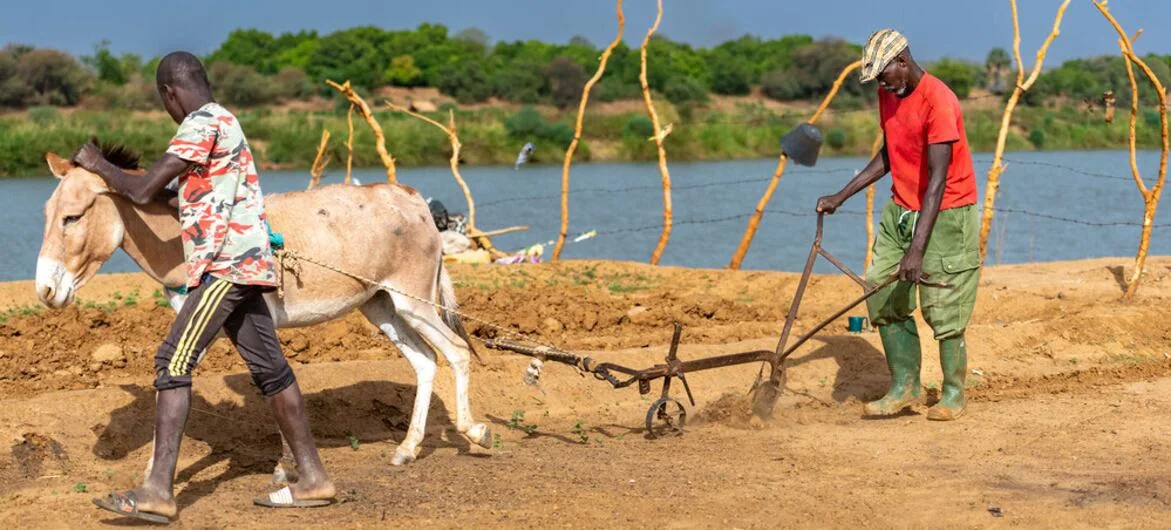 Developing nations face soaring energy bills as Middle East crisis deepens, UNDP warns