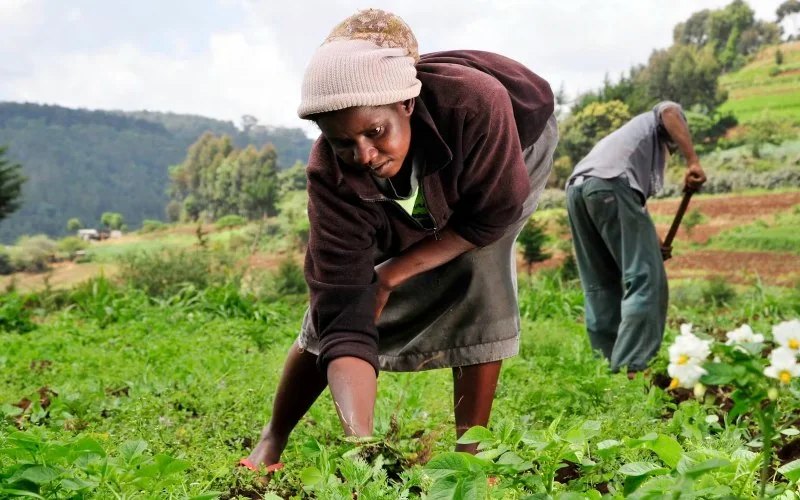 Kenyans living in towns are farmers too: What this means for rural landscapes