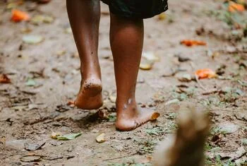New WHO plan urges stronger action against fungal disease