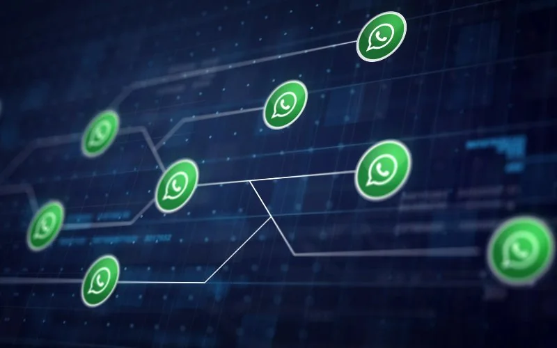 WhatsApp usernames raise impersonation concerns days after rollout