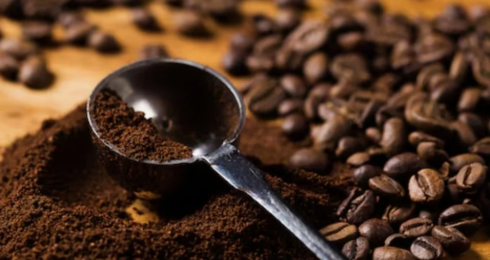 How to choose coffee beans: A complete beginner's guide