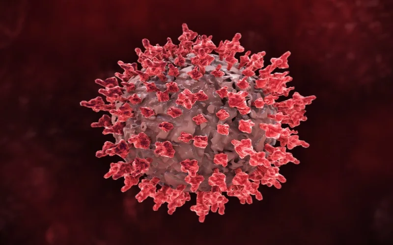 Cancer tumors turn immune cells from fighters into feeders - study