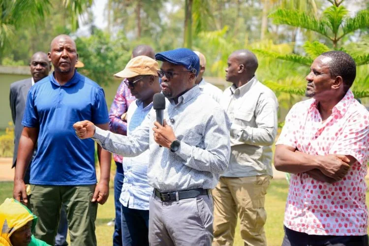 Government expands grassroots administration with 1,800 new administrative units