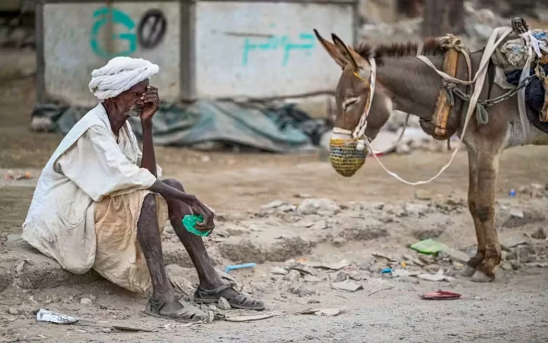 Greater Horn region facing looming polycrisis fueled by conflict, climate and disease
