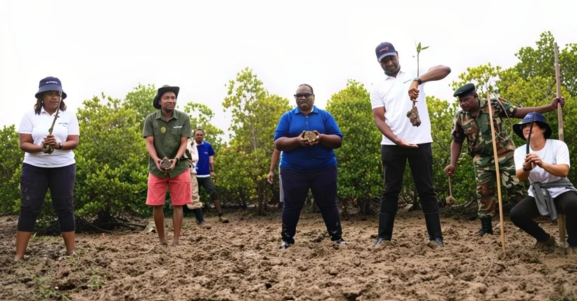 Kwale residents want ecotourism jobs after restoring 288 hectares of mangrove forest