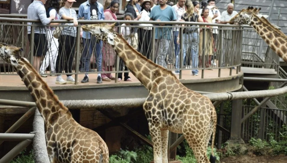Weekend guide: 10 affordable places to take your children during school holidays