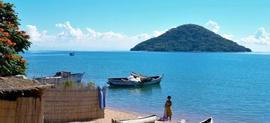 Scientists discover Lake Malawi insects surviving more than 200 metres below the surface