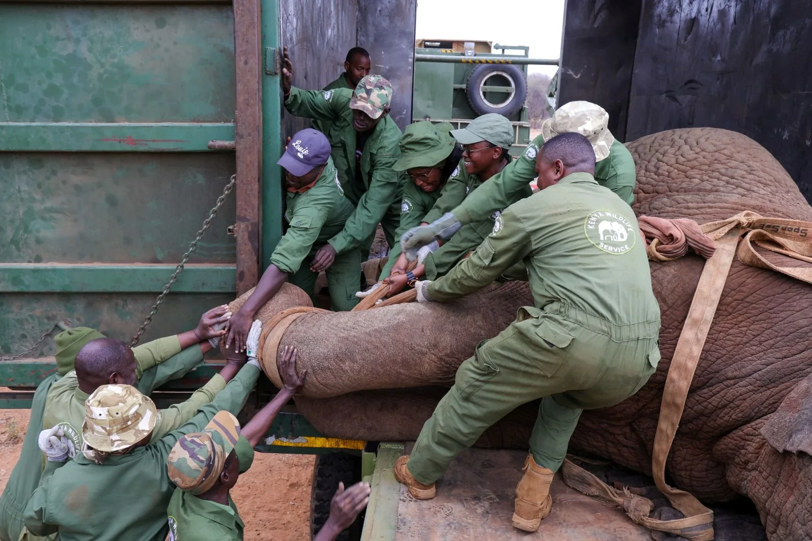 KWS launches six-day operation to relocate five elephants from Mwea to reduce human-wildlife conflict