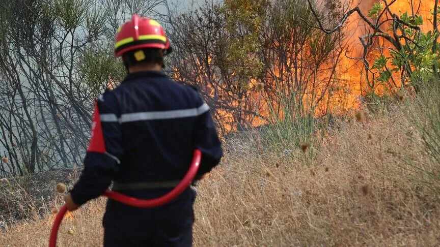 Heatwave fuels 127 fires in Algeria, one still burning